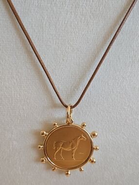 Equestrian 🐎 horse gold jeweled Pendant. Affordable Luxury